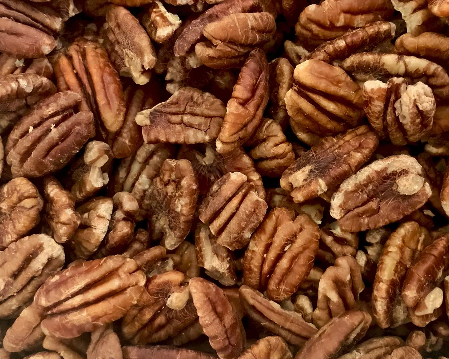 Close up image of sprouted nuts of pecans.