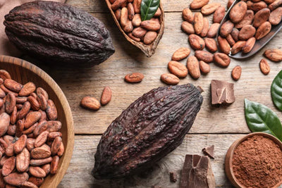 Ethical Chocolate? Everything You Need to Know to Choose the Best Bar