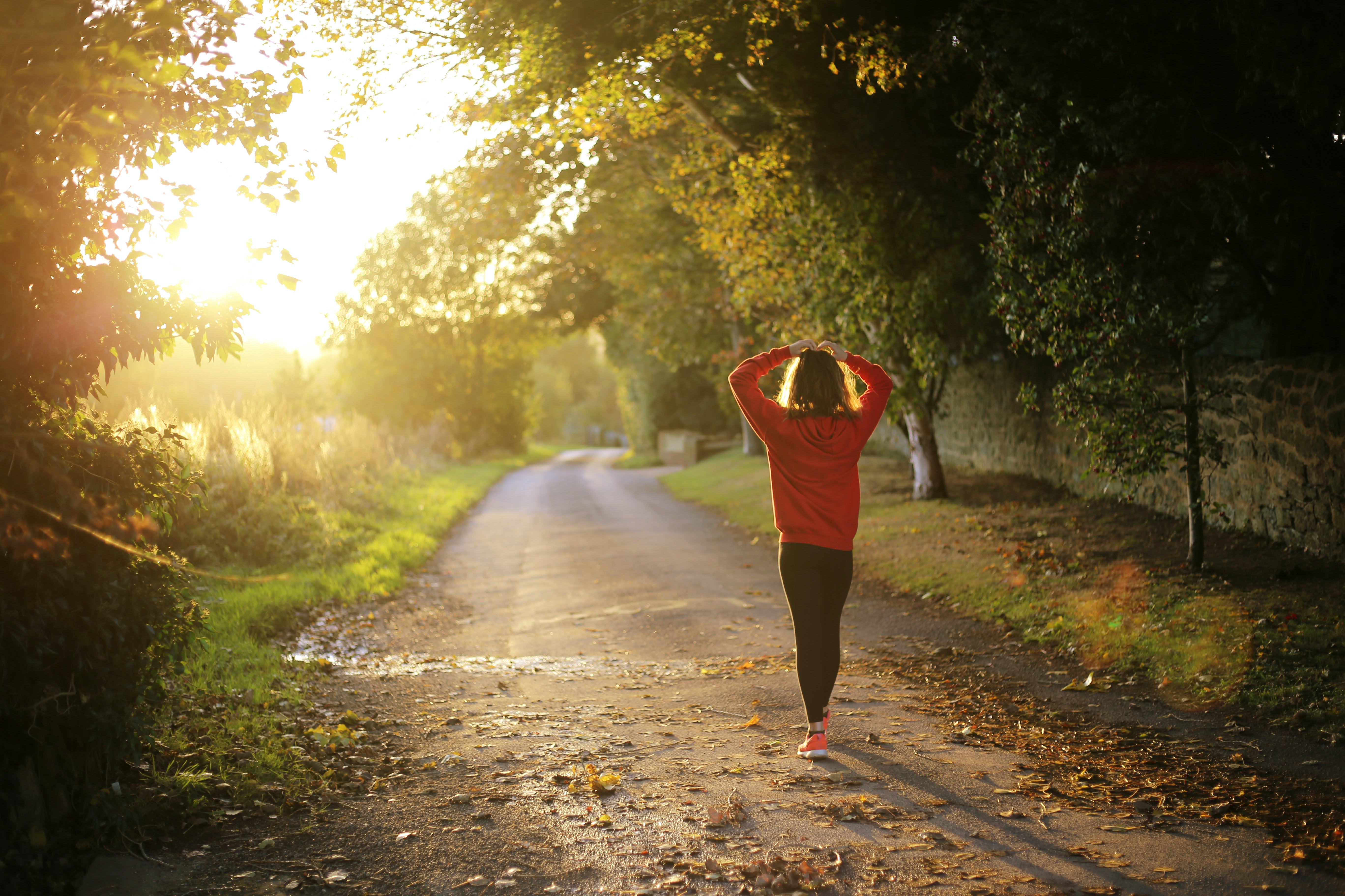 The Mind-Body Connection: The Surprising Science of Diet and Mental Health